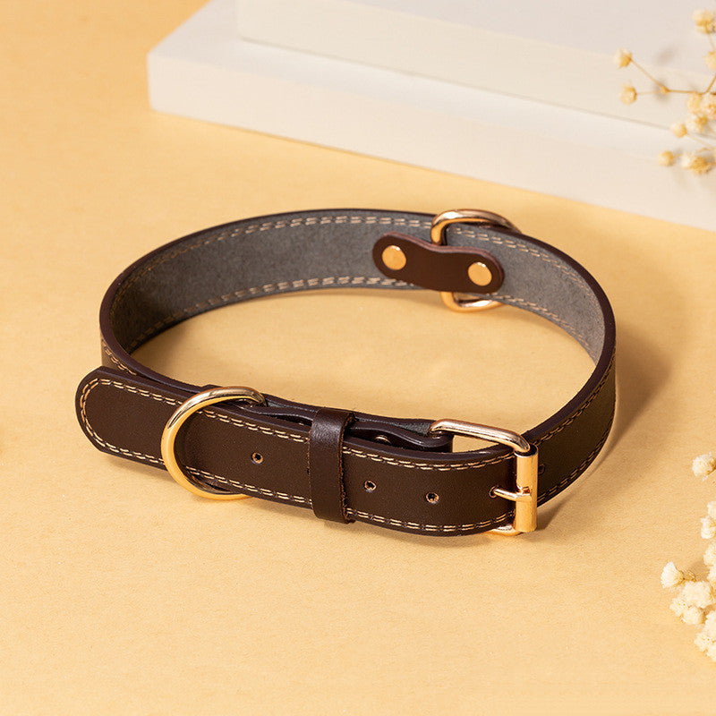 Sleek Leather Dog Collar