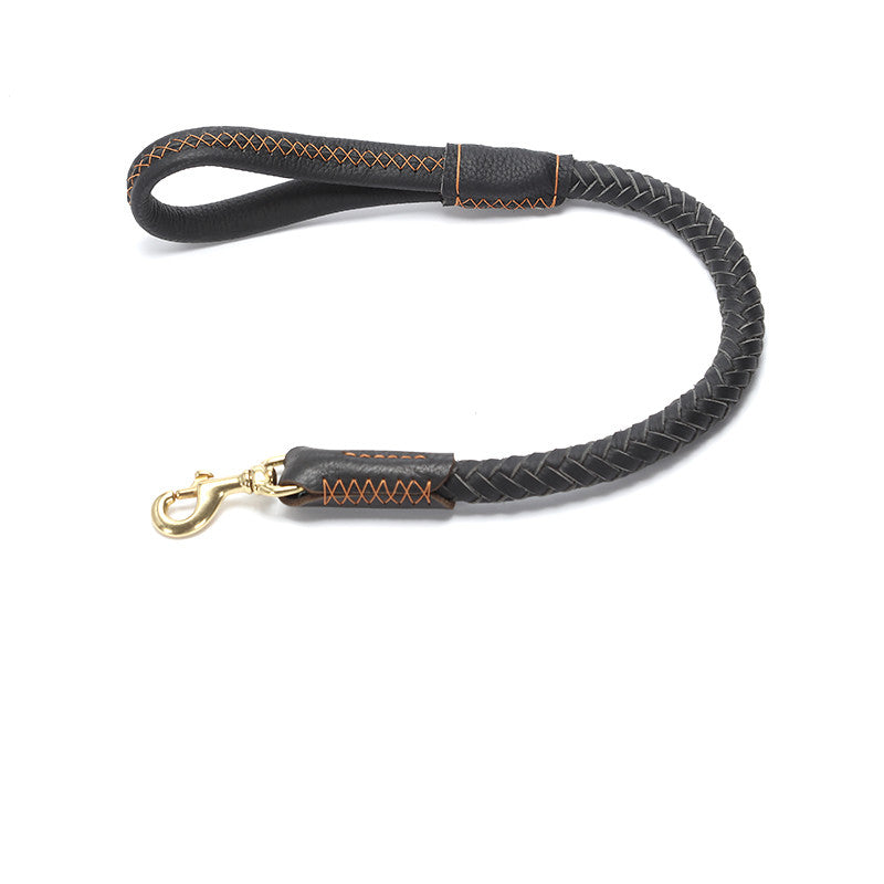 Braided Leather Collar and Leash Combo