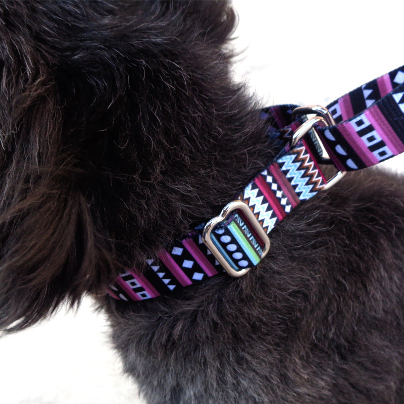 Striped Nylon Martingale Collar