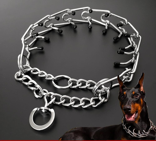 Chrome Plated Pinch Training Collar