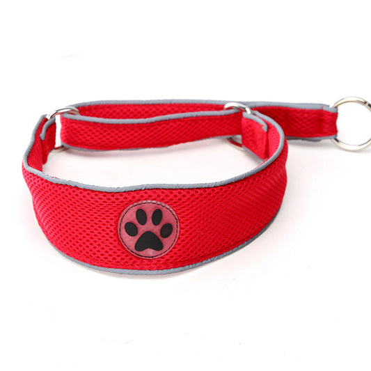 Martingale Style Dog Collar