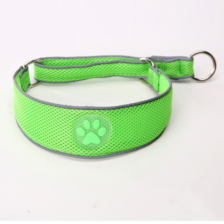 Martingale Style Dog Collar