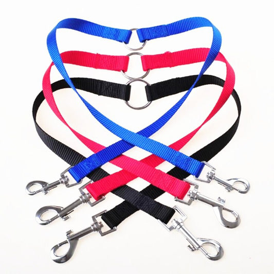 Coupler Leash For Two Dogs