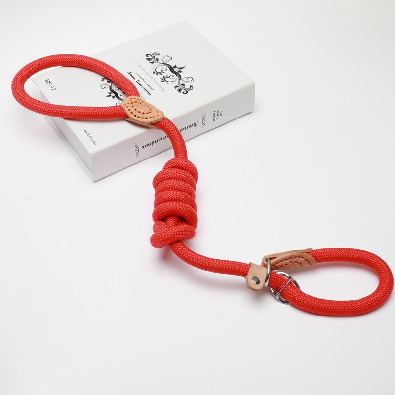 Slip Lead Dog Leash