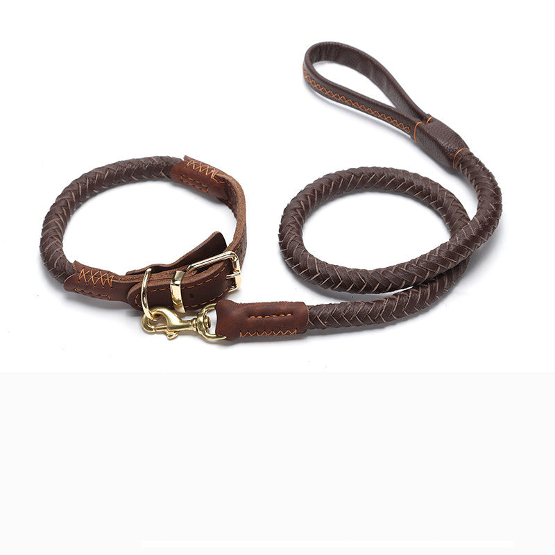 Braided Leather Collar and Leash Combo