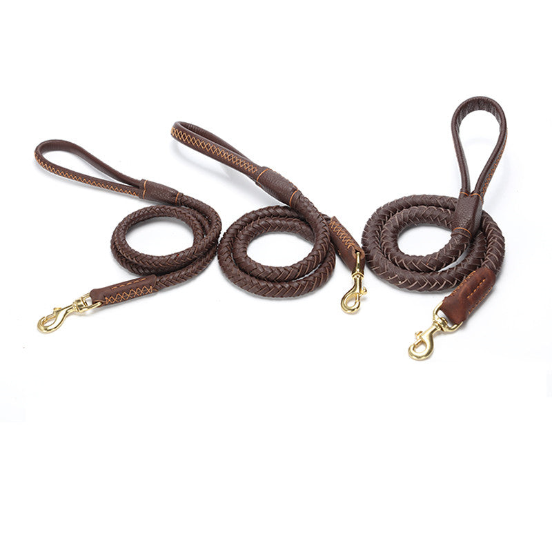 Braided Leather Collar and Leash Combo