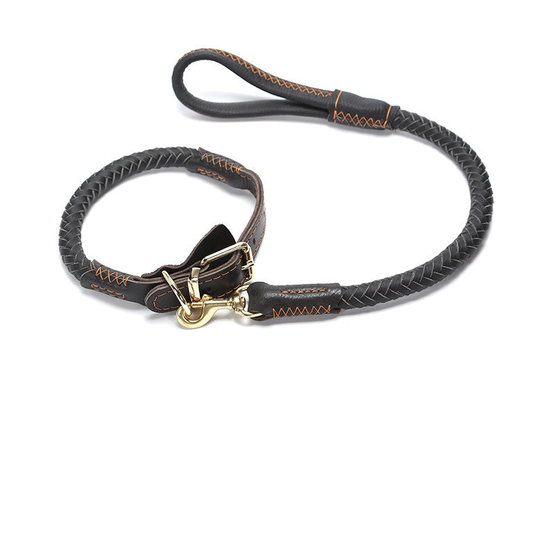 Braided Leather Collar and Leash Combo