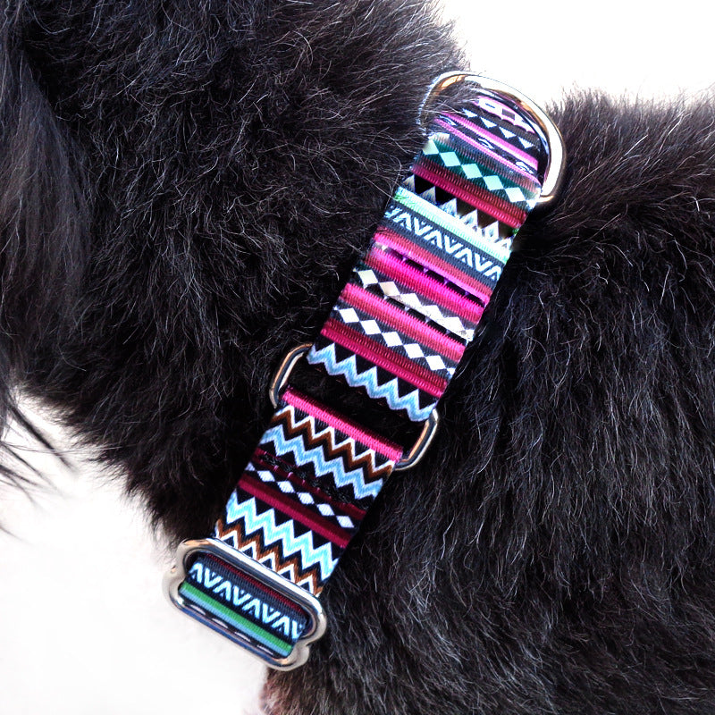 Striped Nylon Martingale Collar