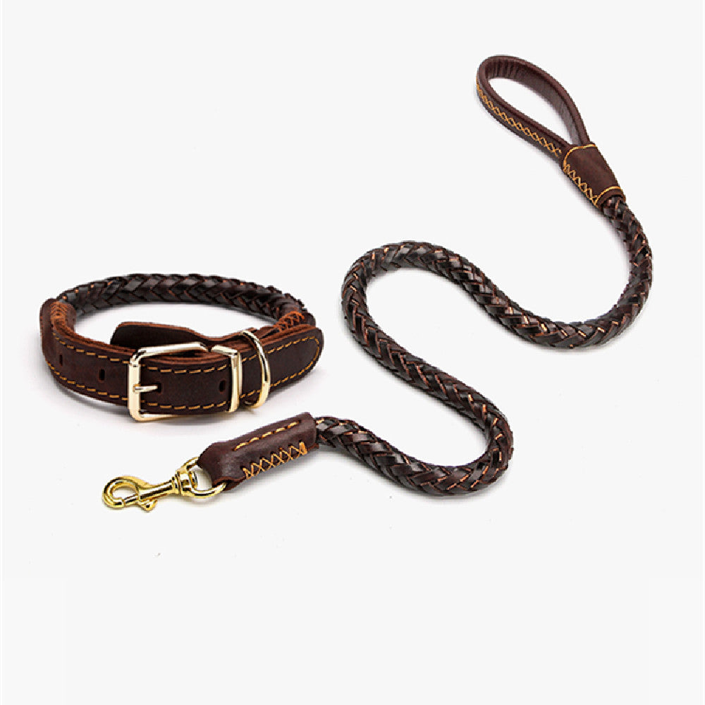 Braided Leather Collar and Leash Combo