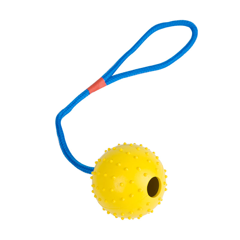 Rubber Ball with Rope Dog Toy