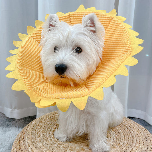 Soft Elizabethan Collar