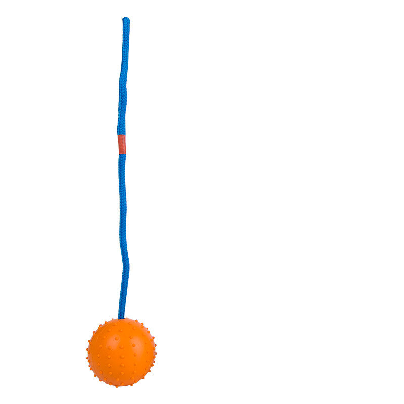 Rubber Ball with Rope Dog Toy