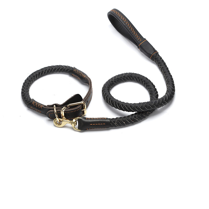 Braided Leather Collar and Leash Combo