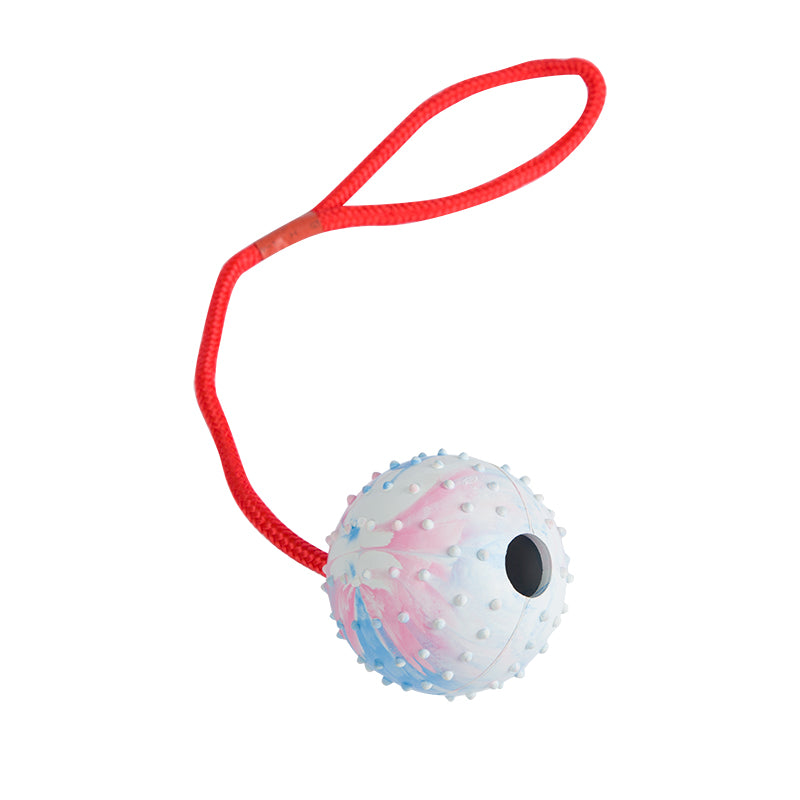 Rubber Ball with Rope Dog Toy