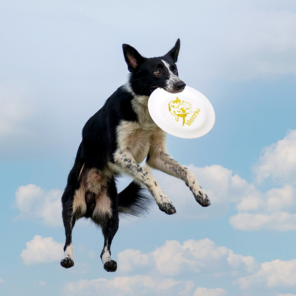 Flying Disc Dog Toy