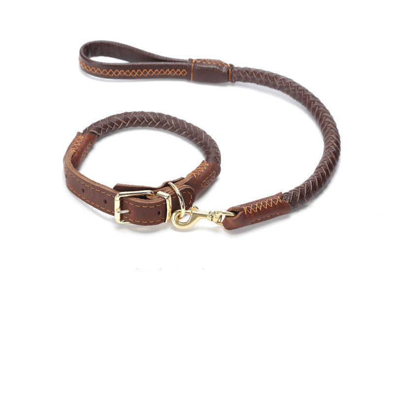 Braided Leather Collar and Leash Combo