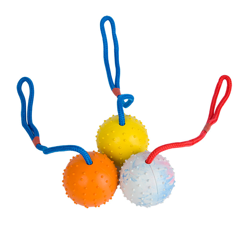 Rubber Ball with Rope Dog Toy