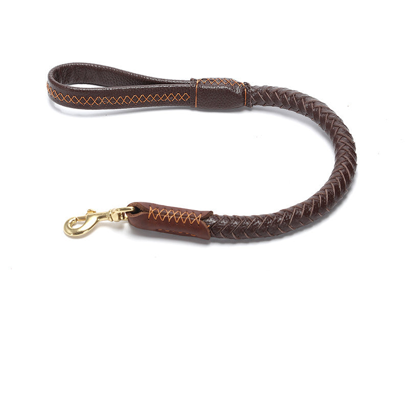 Braided Leather Collar and Leash Combo