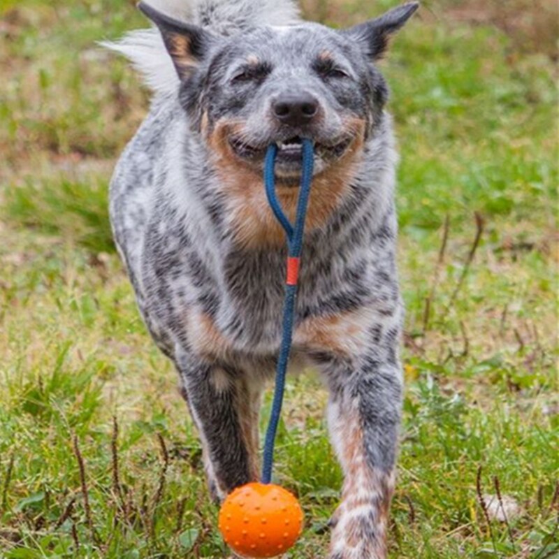 Rubber Ball with Rope Dog Toy